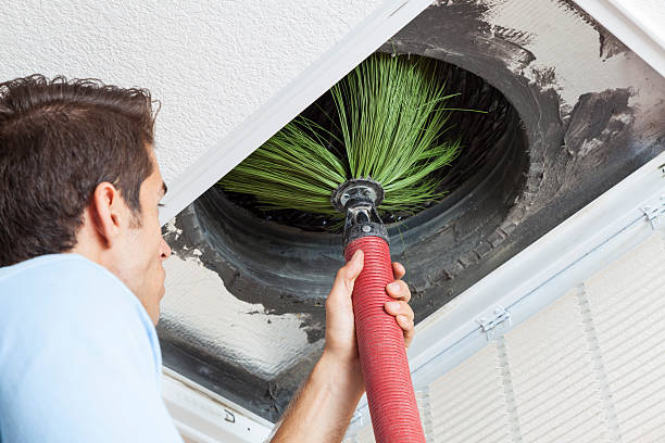 Best Local Air Duct Cleaning Services  in USA